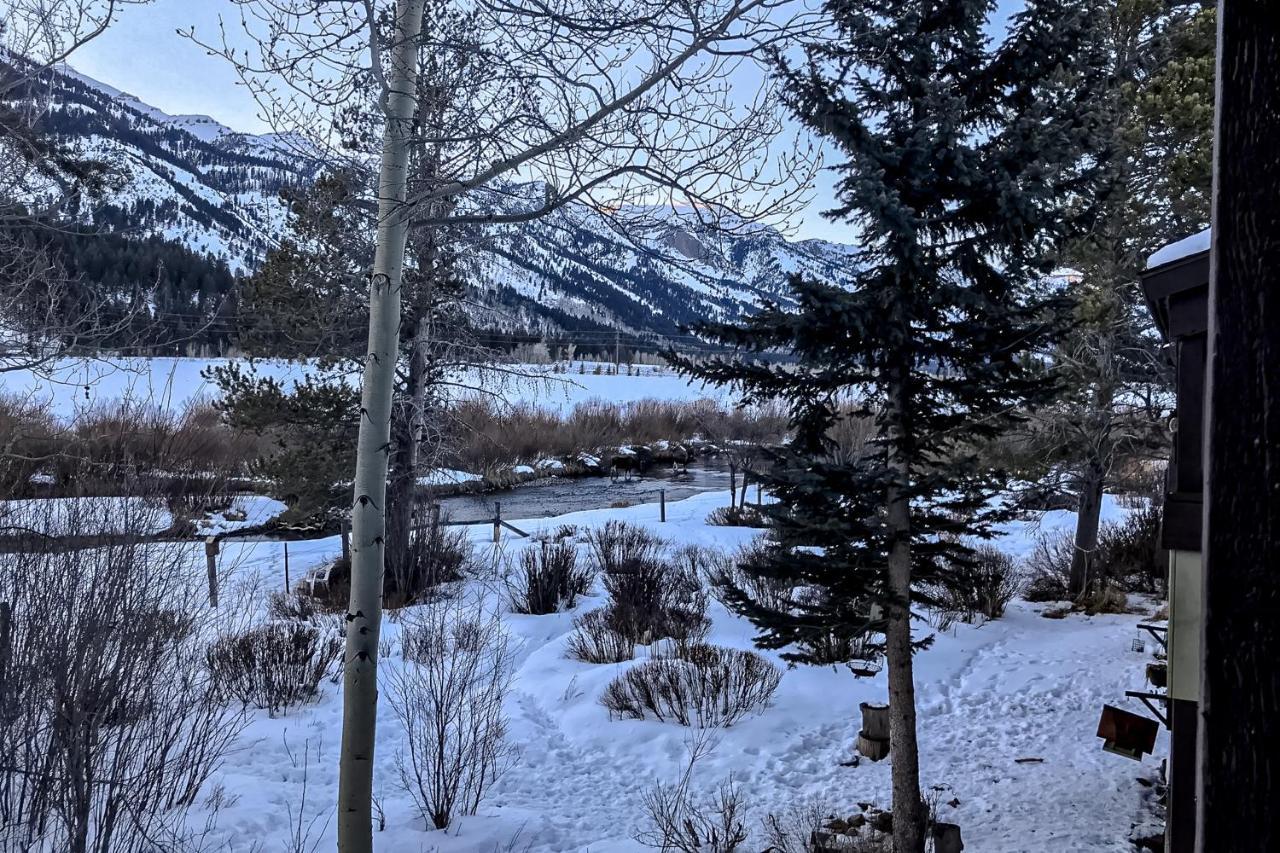 Moose Creek Lodge Wilson Bagian luar foto
